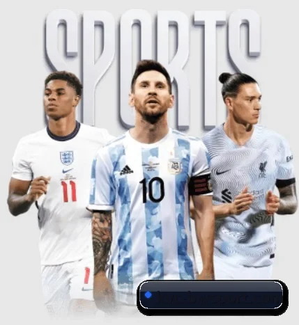 宝威体育 APP